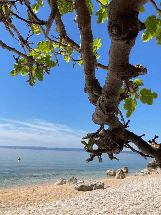 Vila Kuca Za Odmor Baya Stara Baška Exteriér fotografie